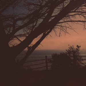 Moms丰满无码XXXXHD
